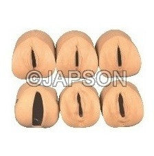 Labour Delivery Model Labour Delivery Model